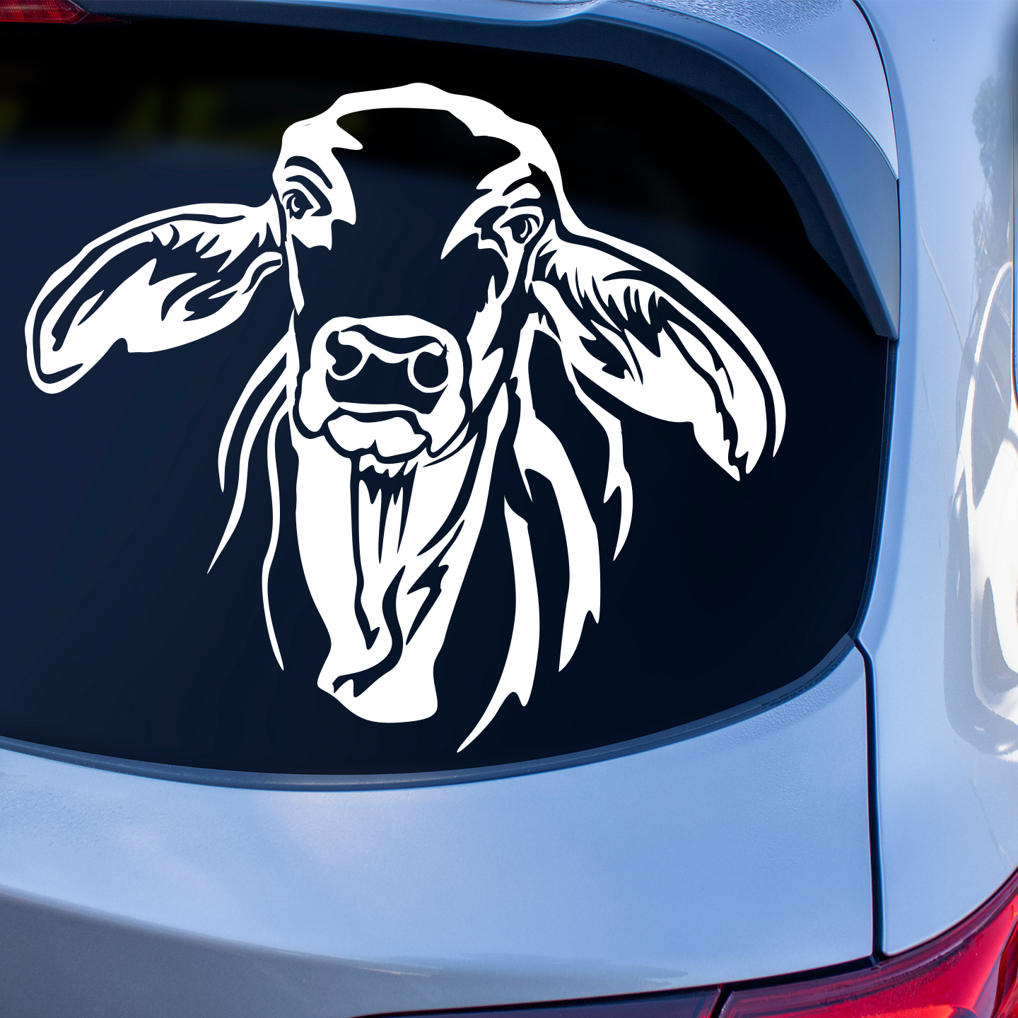 Brahman Cattle Sticker