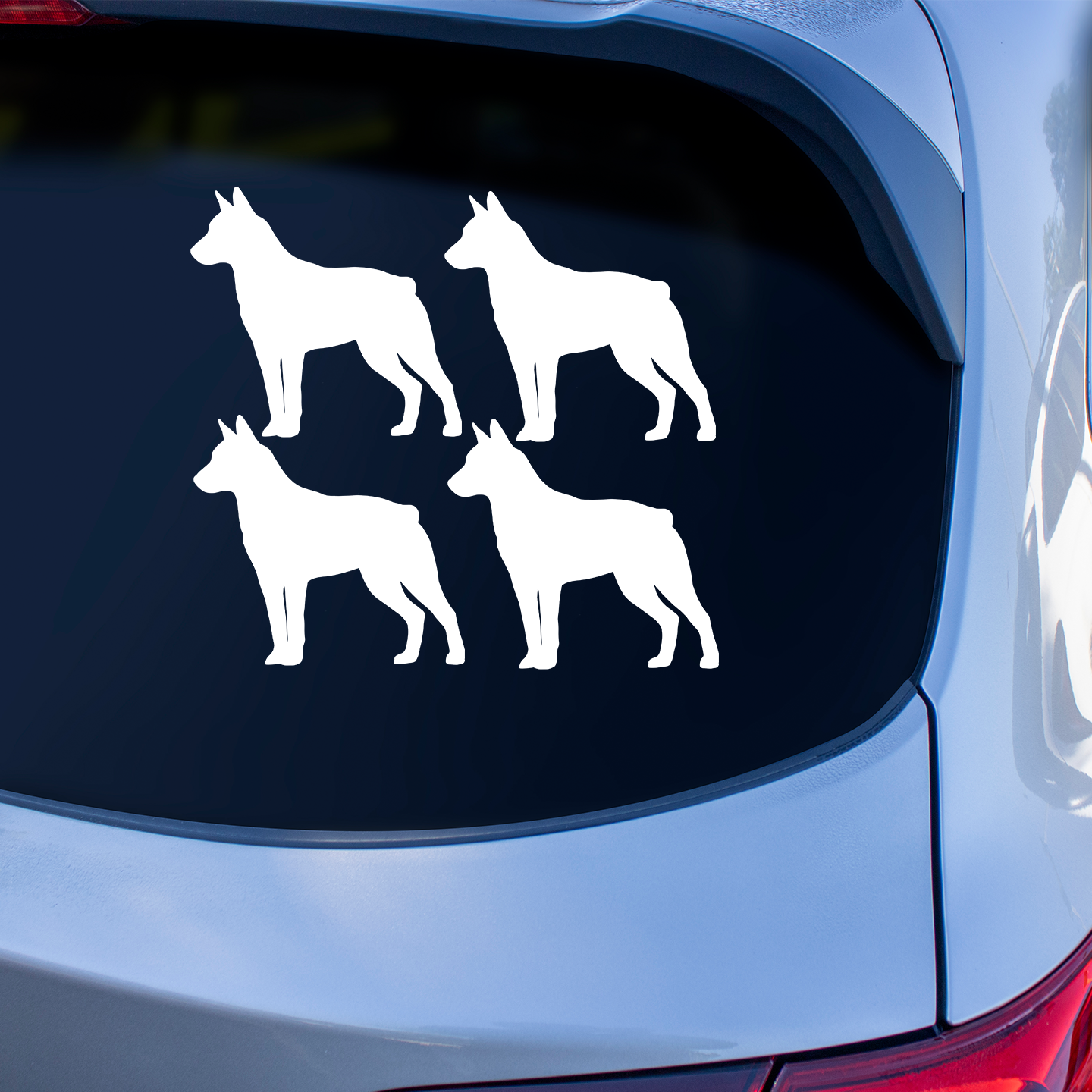 Stumpy Tail Cattle Dog Silhouette Sticker