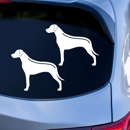 Rhodesian Ridgeback With Ridge Sticker