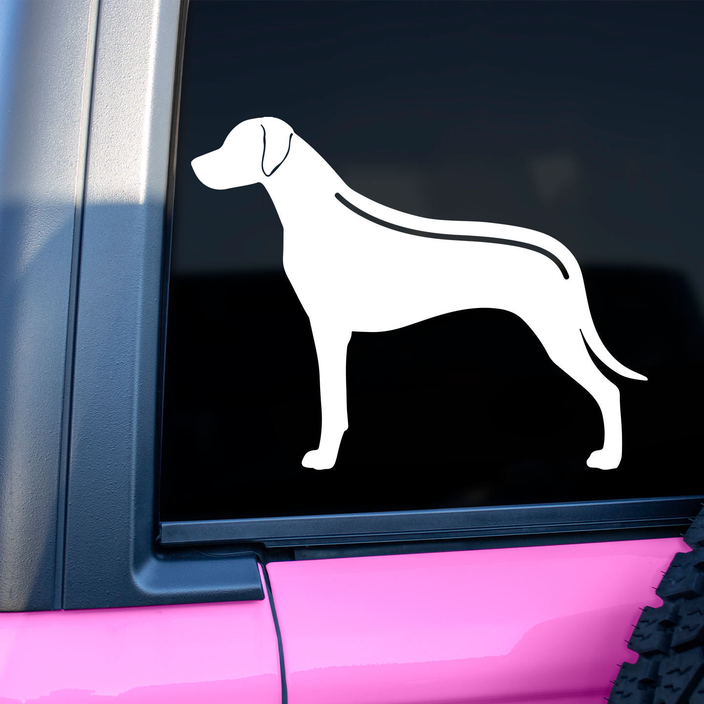 Rhodesian Ridgeback With Ridge Sticker