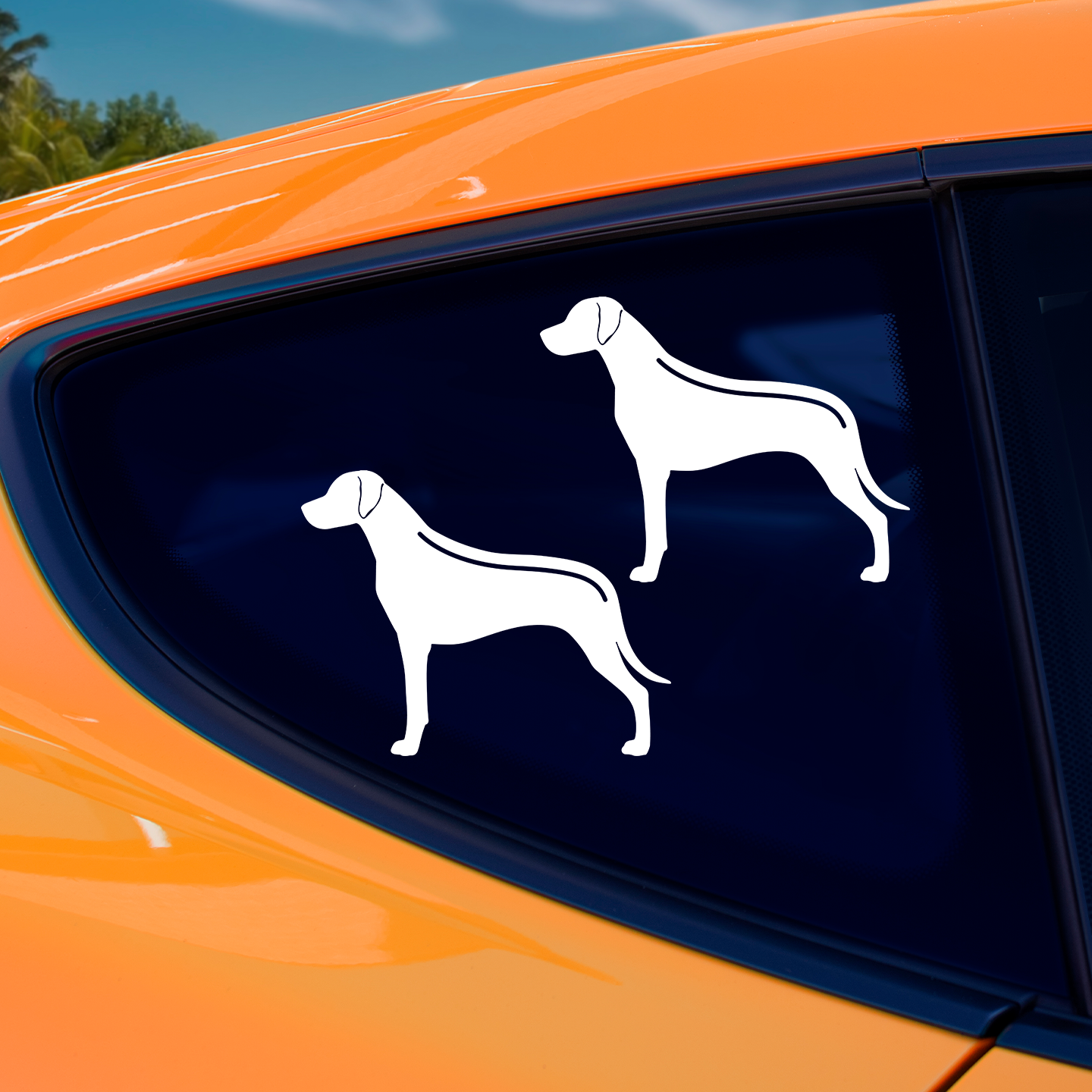 Rhodesian Ridgeback With Ridge Sticker