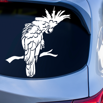 Cockatoo Sticker