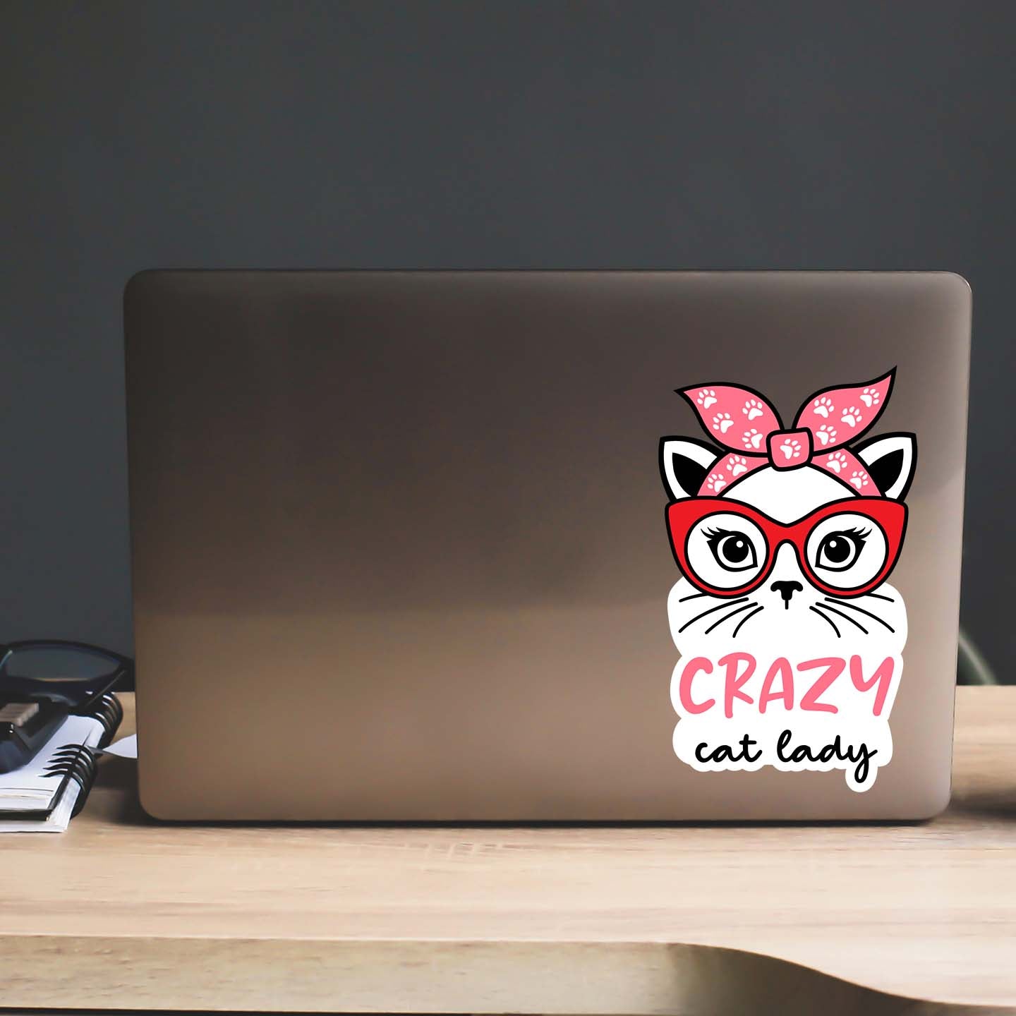 Crazy Cat Lady Sticker