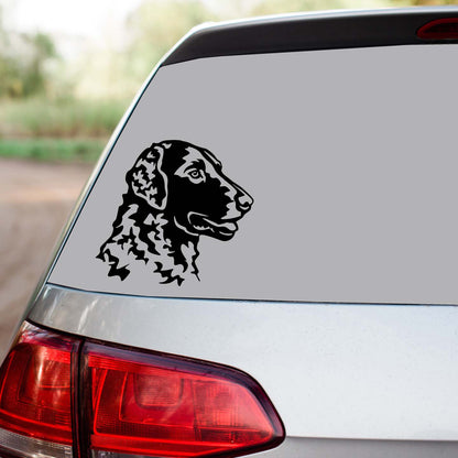 Curly Coated Retriever Sticker