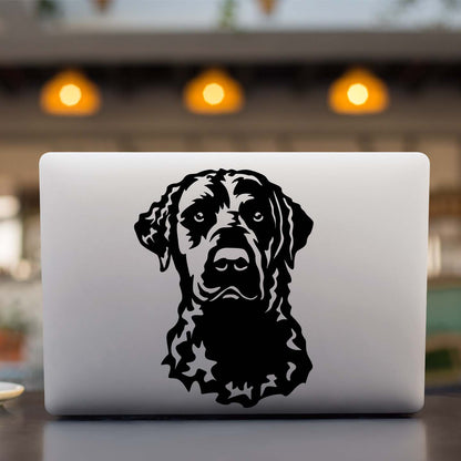 Curly Coated Retriever Sticker