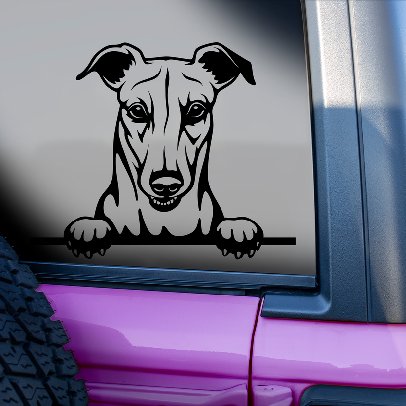 Skip to product information