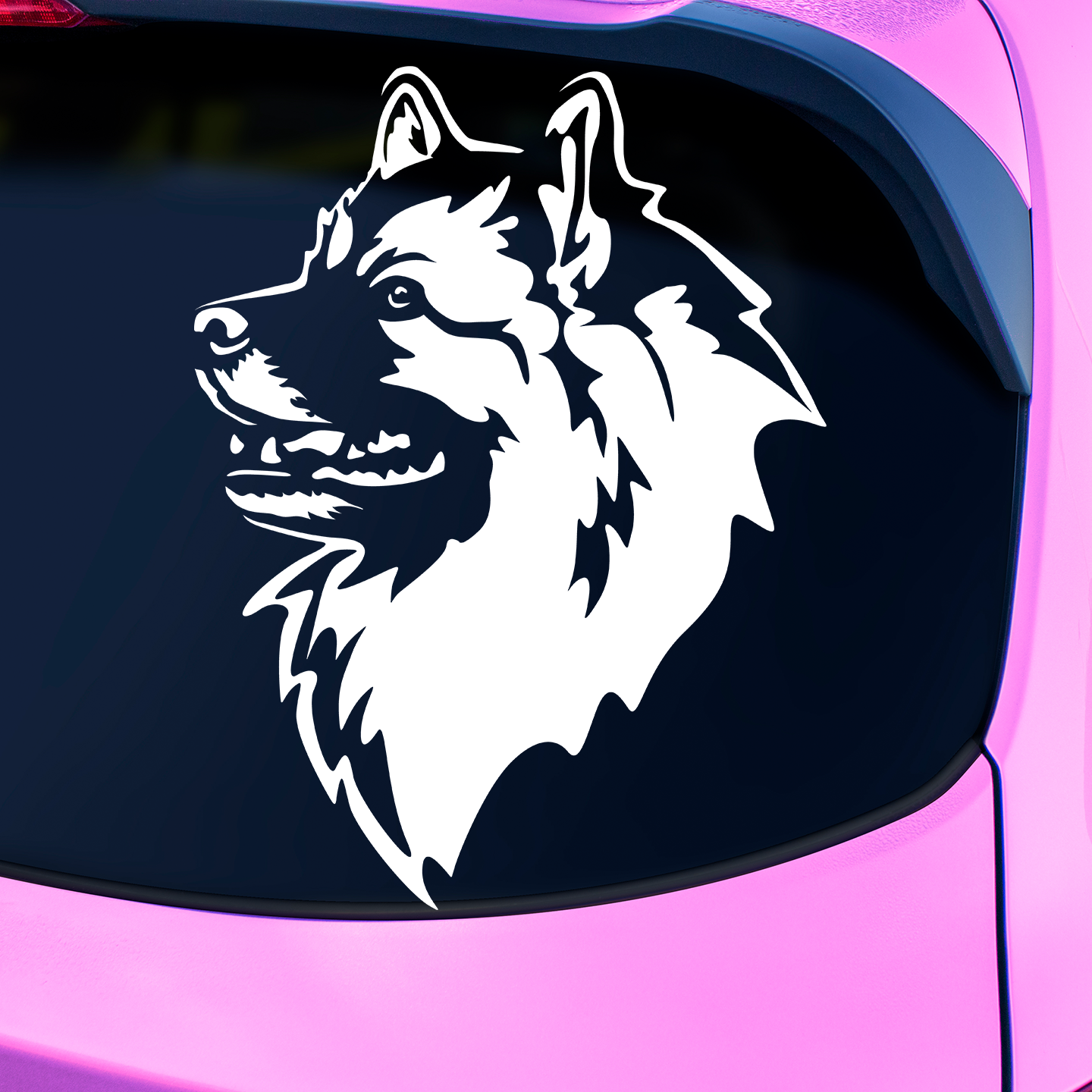 Keeshond Sticker