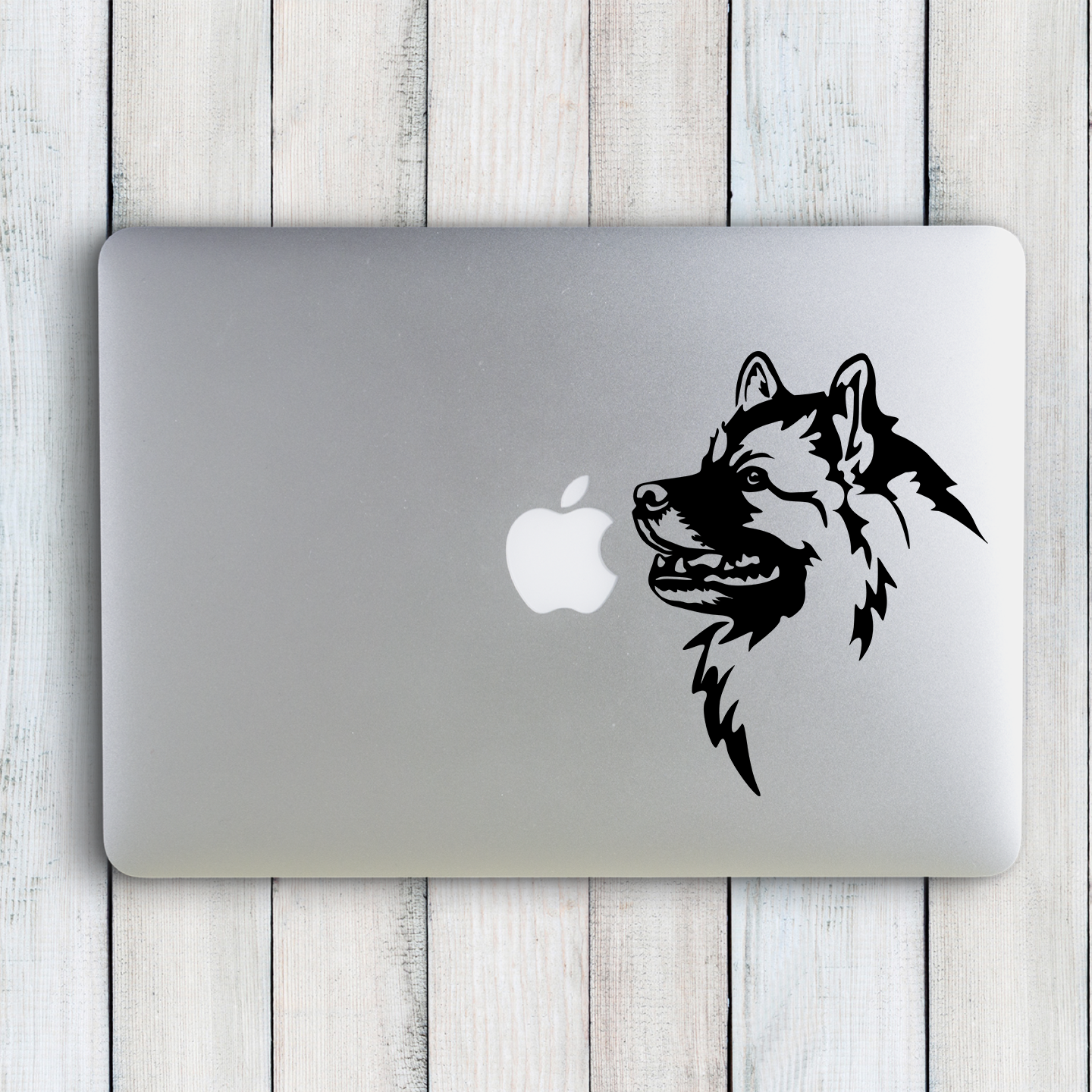 Keeshond Sticker