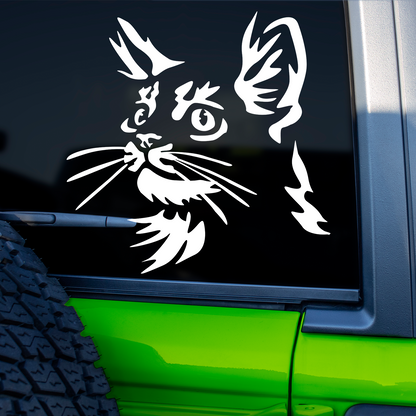 Maine Coon Sticker