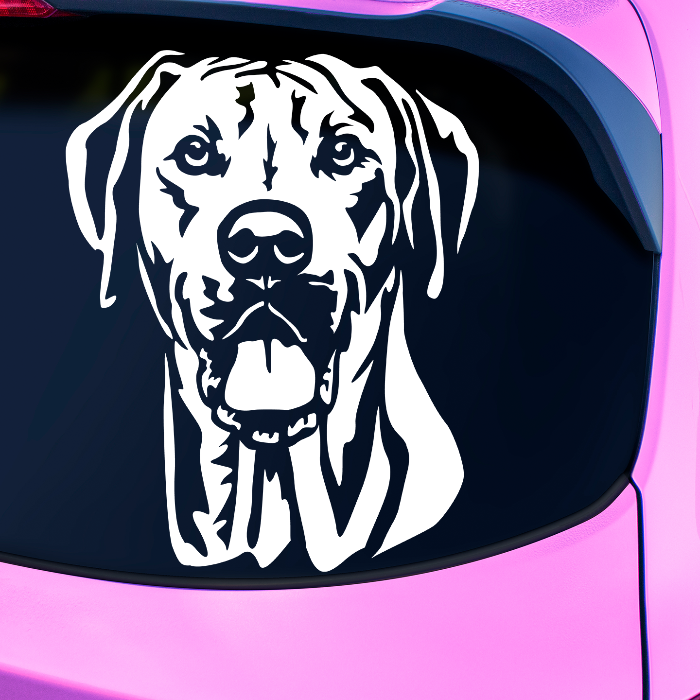 Rhodesian Ridgeback Sticker