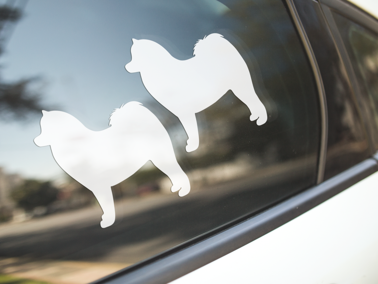 Samoyed Sticker