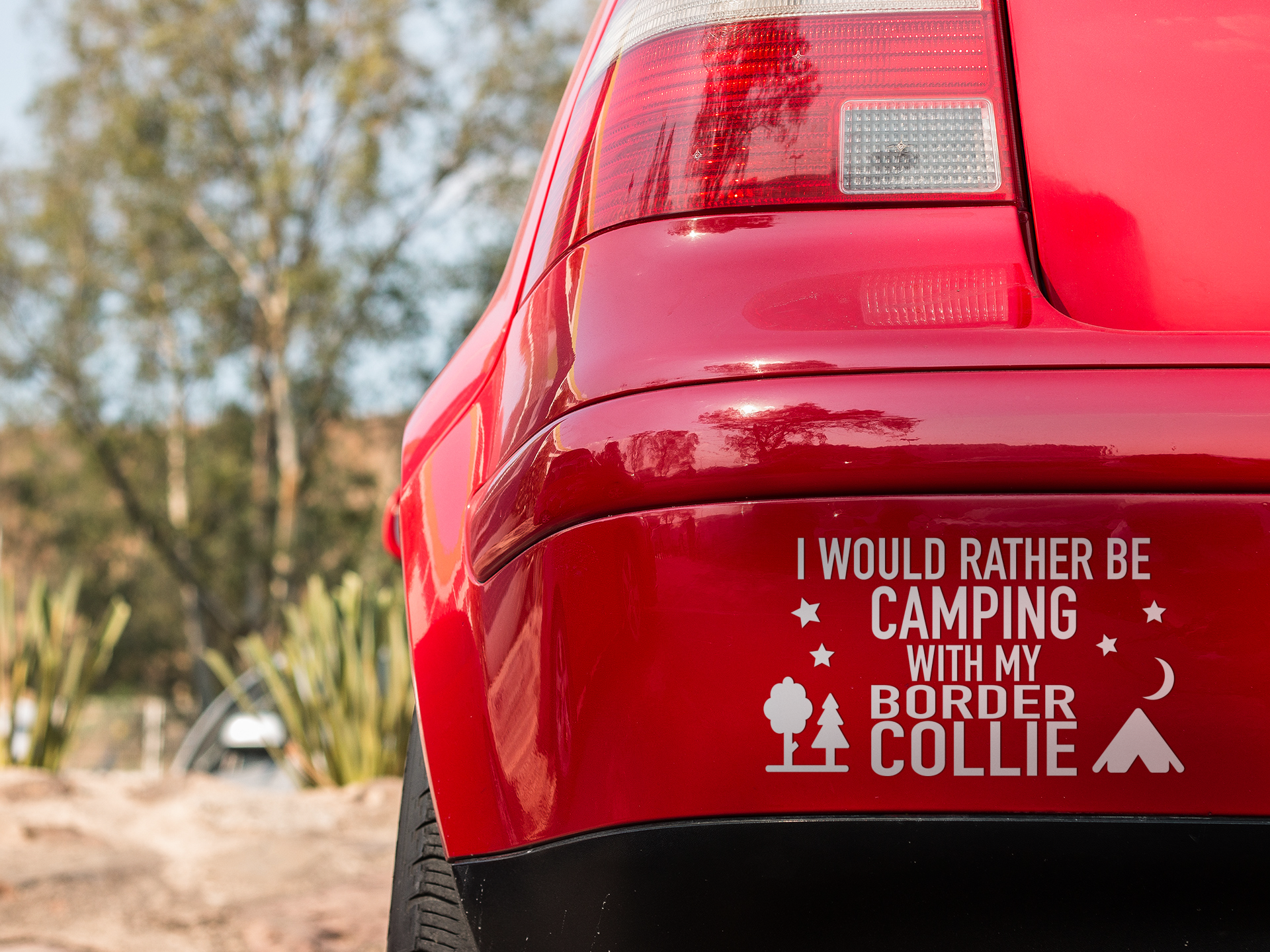 Camping With My Border Collie Sticker