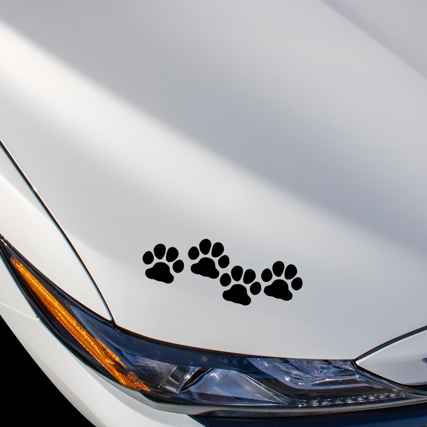 Black Paw Print Stickers