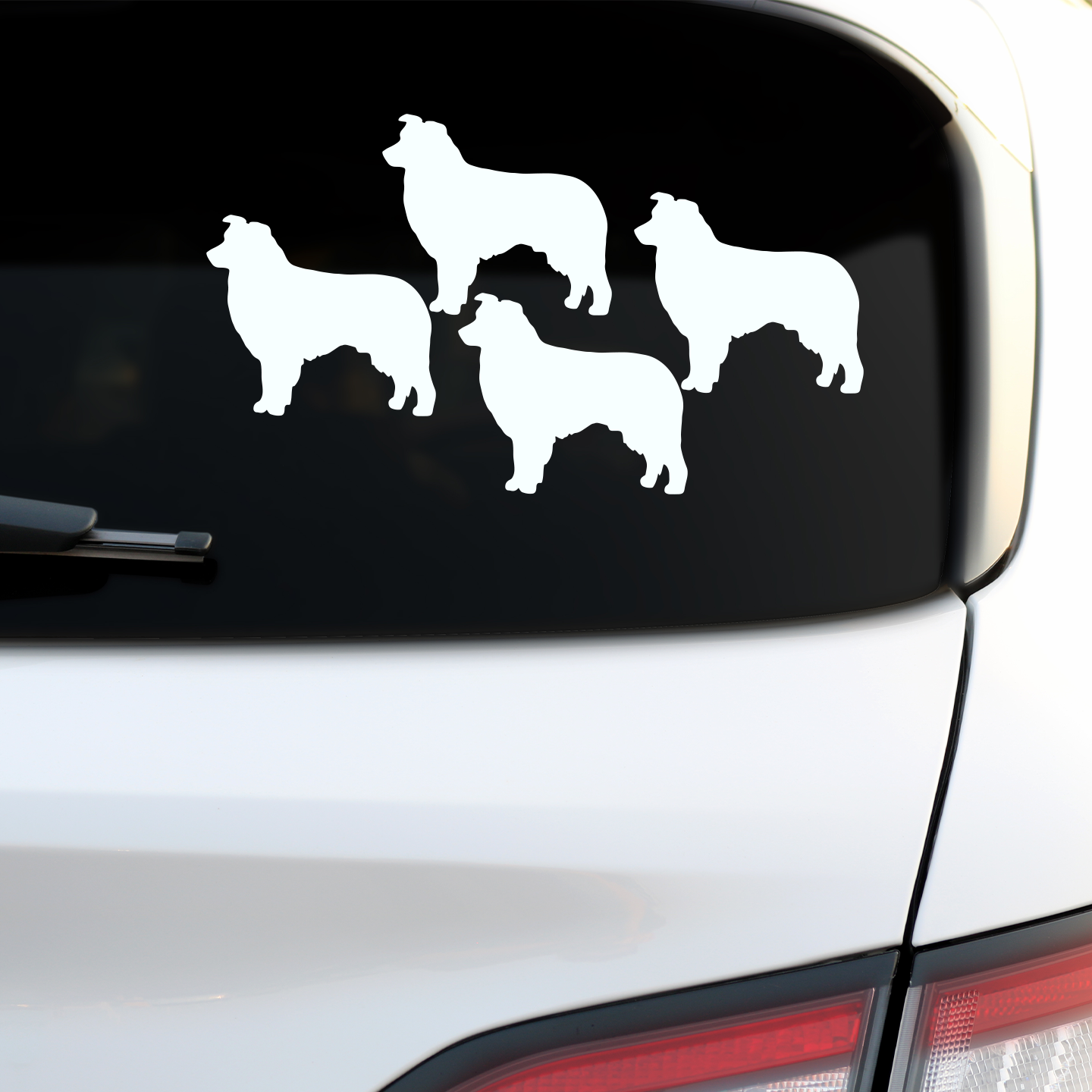 Australian Shepherd Silhouette Sticker