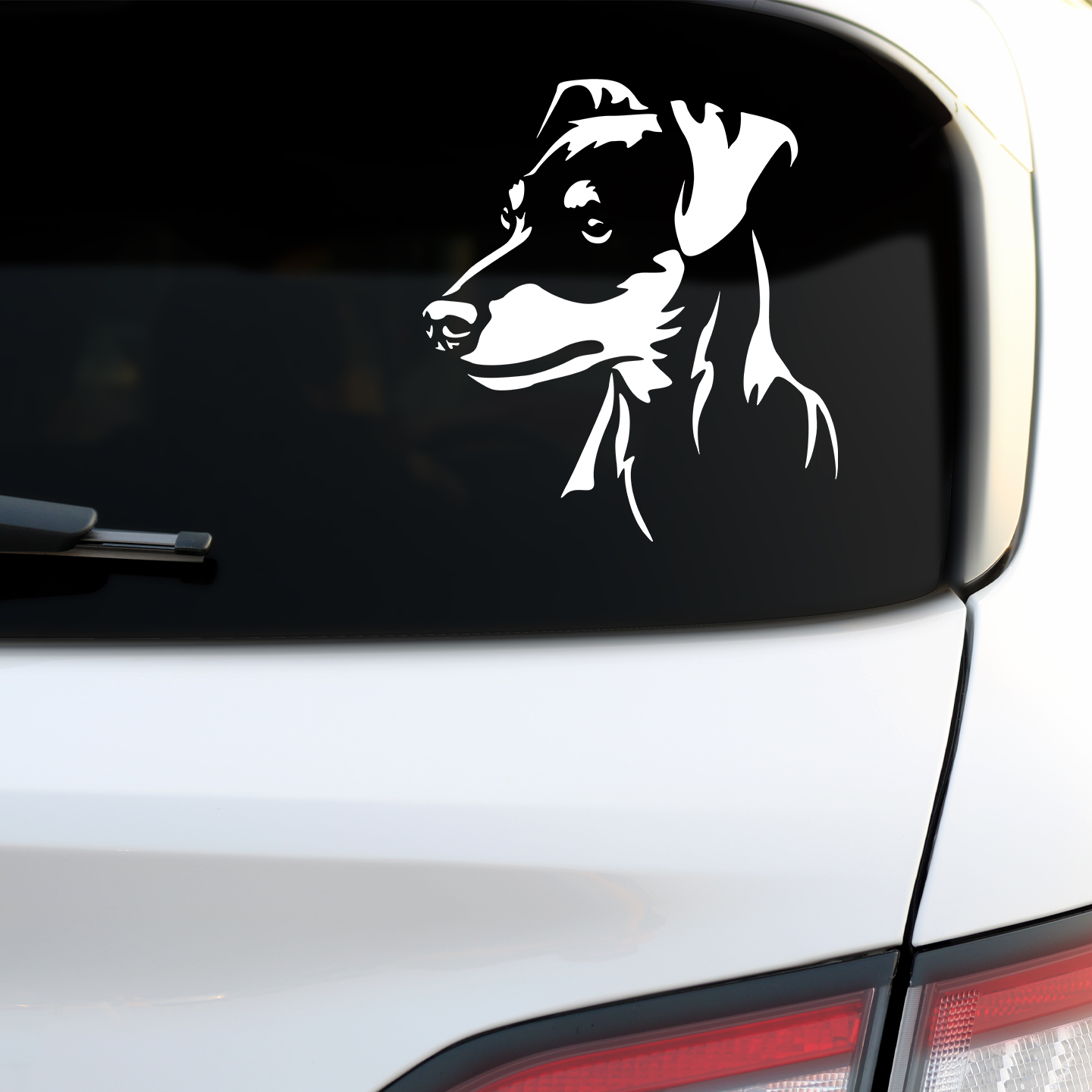 Miniature Pinscher Sticker