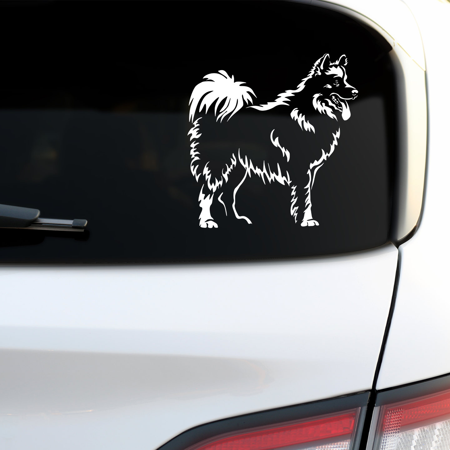 Samoyed Sticker