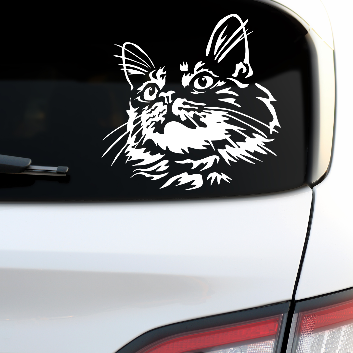 Maine Coon Sticker