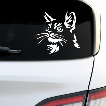 Maine Coon Sticker