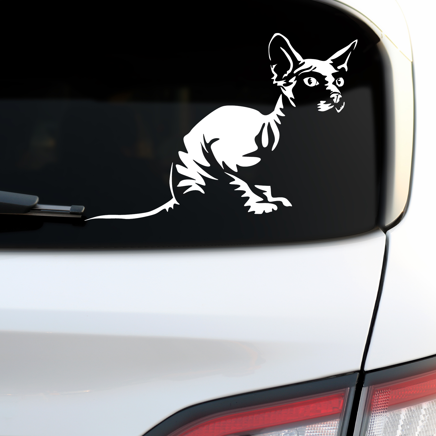 Sphynx Cat Sticker